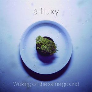 a fluxy / Walking on the same ground