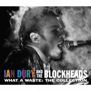 IAN DURY & THE BLOCKHEADS / イアン・デューリー&ザ・ブロックヘッズ / ホワット・ア・ウェイスト~ザ・コレクション