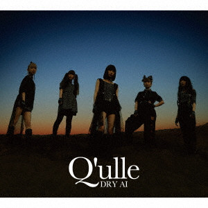 Q’ulle / DRY AI