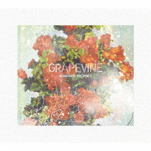 GRAPEVINE / グレイプバイン / ROADSIDE PROPHET