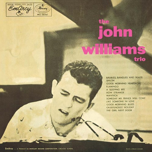 JOHN WILLIAMS (PIANO) / ジョン・ウィリアムス / THE JOHN WILLIAMS TRIO / ジョン・ウィリアムス・トリオ