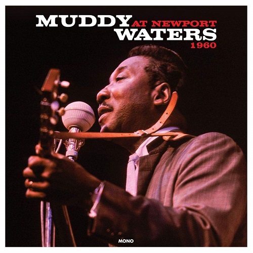 MUDDY WATERS / マディ・ウォーターズ / AT NEWPORT 1960 (LP)