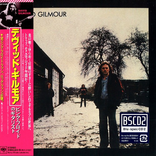 DAVID GILMOUR / デヴィッド・ギルモア / DAVID GILMOUR - Blu-spec CD2 / デヴィッド・ギルモア - Blu-spec CD2
