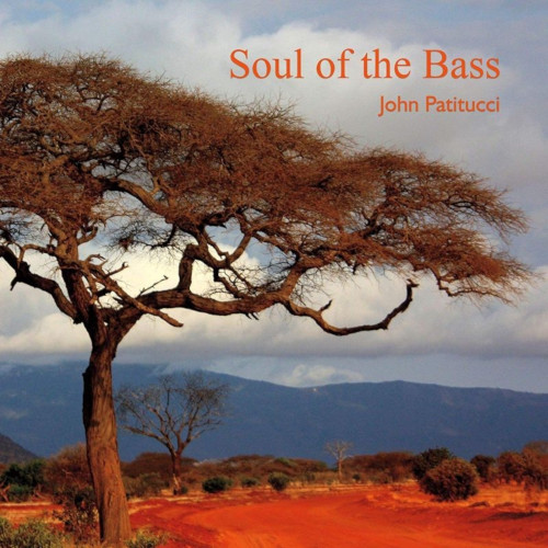 JOHN PATITUCCI / ジョン・パティトゥッチ / Soul of the Bass