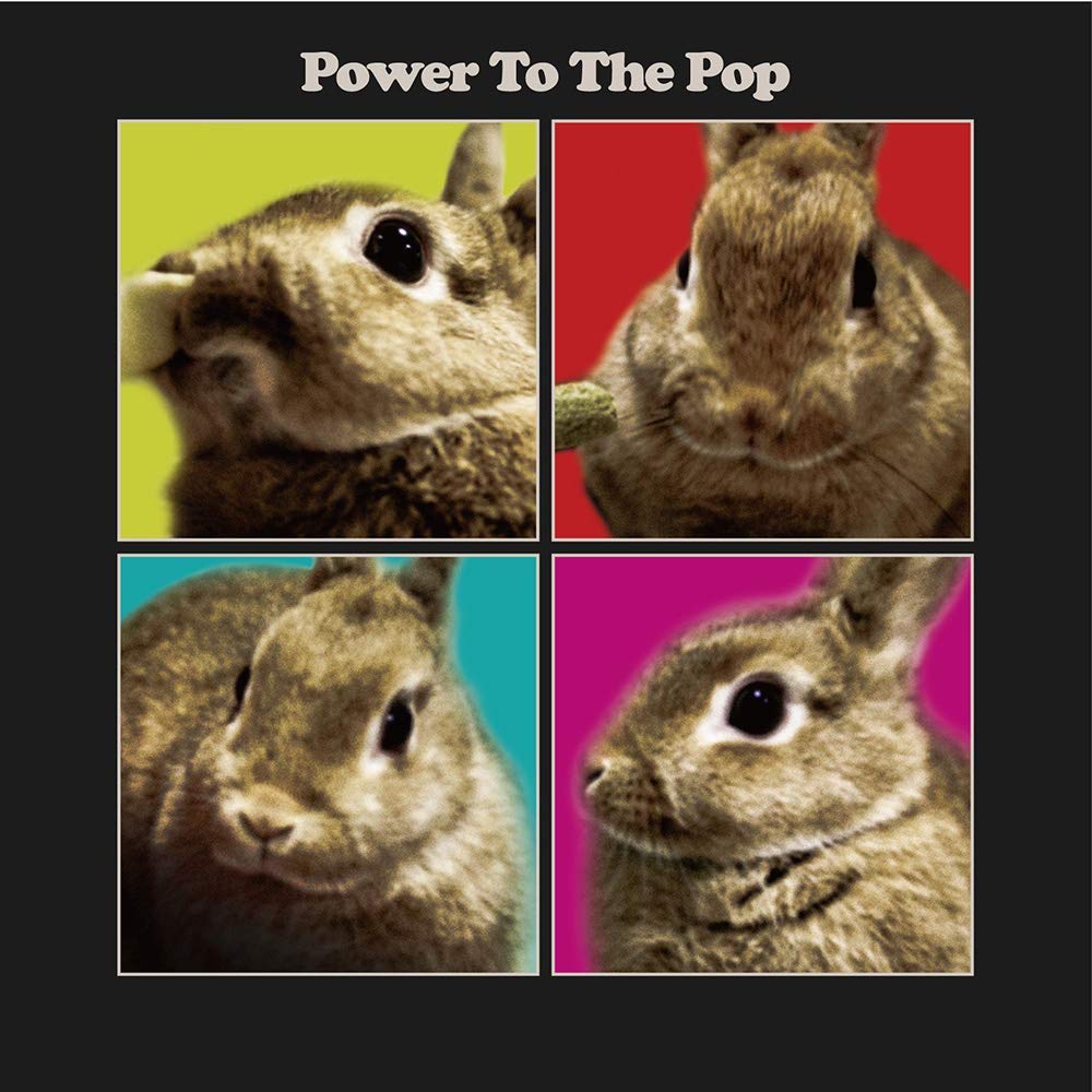 V.A. (POWER POP) / POWER TO THE POP