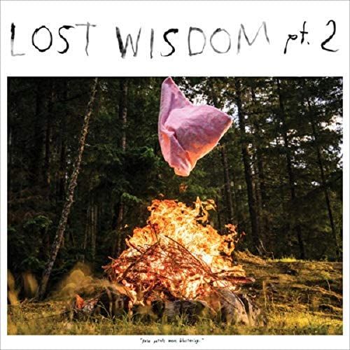 MOUNT EERIE WITH JULIE DOIRON / マウント・イアリ WITH ジュリー・ドワロン / LOST WISDOM PTS. 1 & 2 / ロスト・ウィズダム・パート1&2
