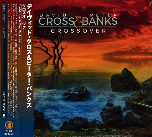 DAVID CROSS & PETER BANKS  / デイヴィッド・クロス&ピーター・バンクス / CROSSOVER / クロスオーヴァー