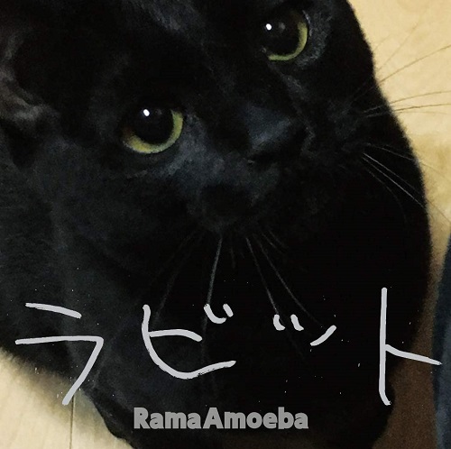 Rama Amoeba / ラビット