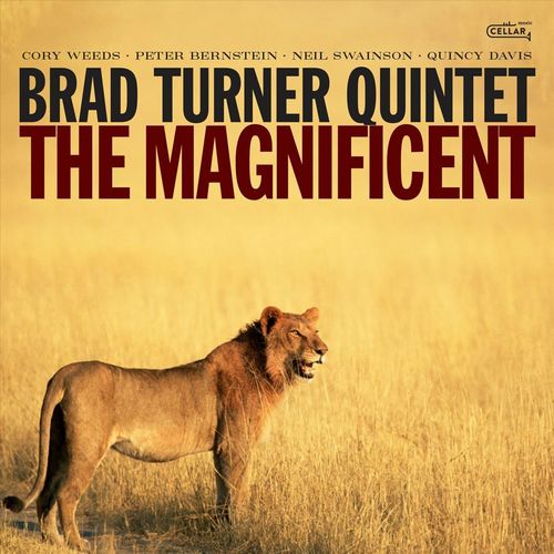 BRAD TURNER / ブラッド・ターナー / Magnificent
