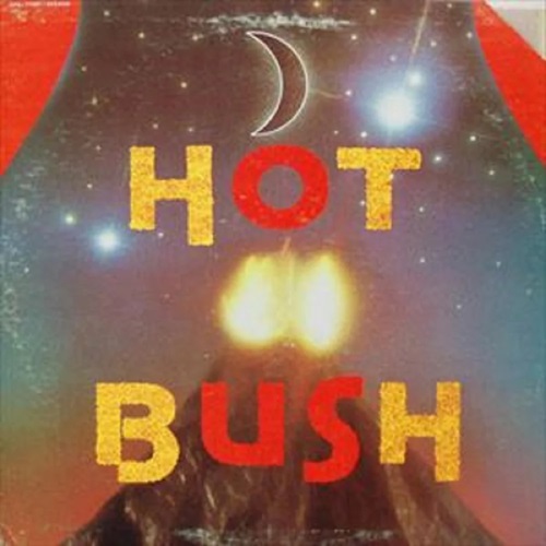 HOT BUSH / ホット・ブッシュ / ホット・ブッシュ