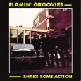 FLAMIN' GROOVIES / フレイミン・グルーヴィーズ / SHAKE SOME ACTION