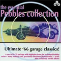 V.A. (PEBBLES) / THE ESSENTIAL PEBBLES COLLECTION - ULTIMATE '66 GARAGE CLASSICS!