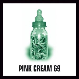 PINK CREAM 69 / ピンク・クリーム69 / FOOD FOR THOUGHT