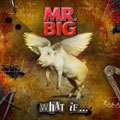 MR. BIG / ミスター・ビッグ / WHAT IF ... (CD+DVD)