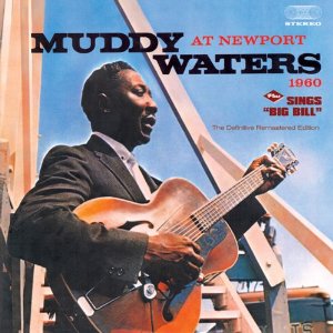 MUDDY WATERS / マディ・ウォーターズ / AT NEWPORT 1960 + SINGS "BIG BILL" (2 ON 1)