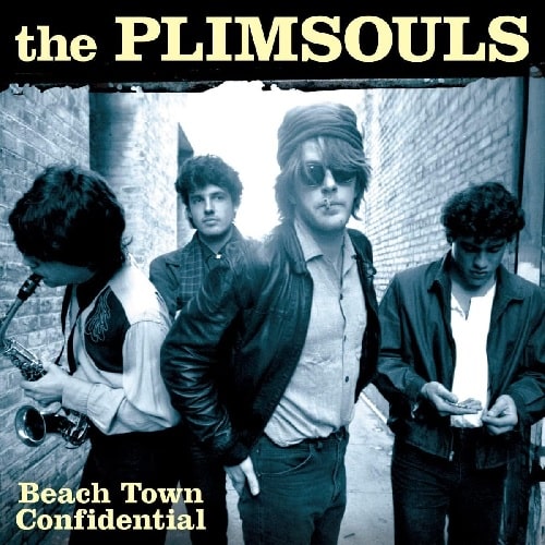 PLIMSOULS / プリムソウルズ / BEACH TOWN CONFIDENTIAL (LP)