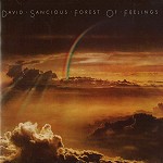 DAVID SANCIOUS / デイヴィッド・サンシャス / FOREST OF FEELINGS - 24BIT DIGITAL REMASTER