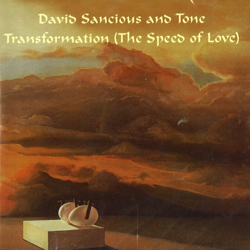DAVID SANCIOUS & TONE / デイヴィッド・サンシャス&トーン / TRANSFORMATION (THE SPEED OF LIGHT) - 24BIT DIGITAL REMASTER