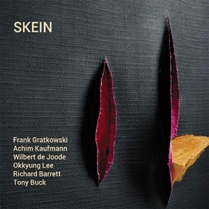 FRANK GRATKOWSKI / フランク・グラコウスキ / Skein