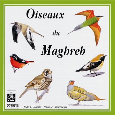BIRDSONG / BIRDS OF MAHGRED NORTH-WEST AF