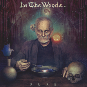 IN THE WOODS / PURE<DIGI>