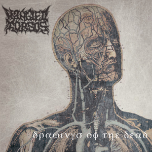 MANGLED TORSOS / DRAWINGS OF THE DEAD