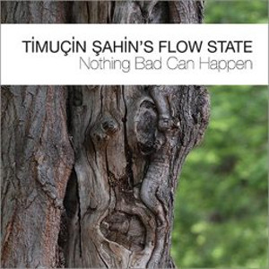 TIMUCIN SAHIN'S FLOW STATE / Nothing Bad Can Happen