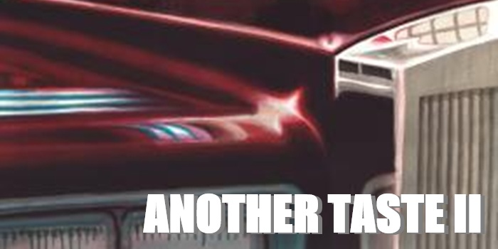 ◤予約◢ ANOTHER TASTE / ANOTHER TASTE II (LP) - 今絶対に見逃せないコンセプトバンドによる、ダンスミュージック・リスナー必聴アルバム!!