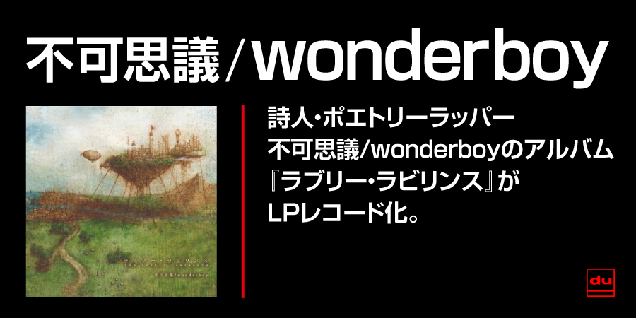 ラブリー・ラビリンス (LP)/不可思議/wonderboy/2011年発表の唯一の