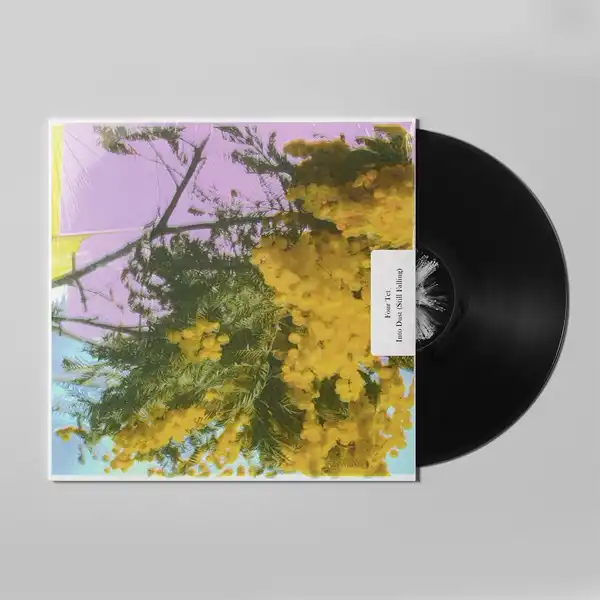 INTO DUST (STILL FALLING) FOUR TET