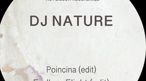 DJ NATURE/RAHAAN/TODDSONIC33/KARIZMA/HOT BISCUIT