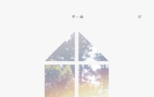 haruka nakamura 「 青い森 IV 」蔦屋書店の音楽 シリーズ最終作