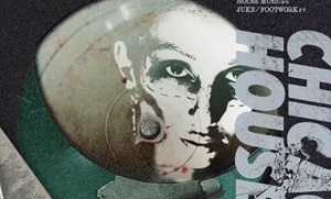 シカゴ・ハウス完全網羅ディスクガイド・西村公輝「シカゴ・ハウス大全」