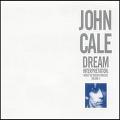 JOHN CALE / ジョン・ケイル / DREAM INTERPRETATION : INSIDE THE DREAM SYNDICATE VOL.2