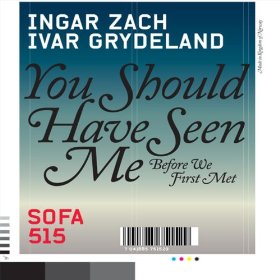 INGAR ZACH / You Should Have Seen Me