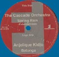 CASCADE ORCHESTRA + ANJELIQUE KIDJO / SPRING RAIN + BATONGA
