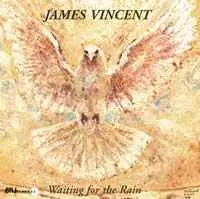JAMES VINCENT / ジェイムズ・ヴィンセント / WAITING FOR THE RAIN