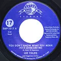 LEE FIELDS / リー・フィールズ / YOU DON'T KNOW WHAT YOU MEAN + COULD HAVE BEEN