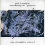 JOHN O'GALLAGHER / ジョン・オギャラガー / RULES OF INVISIBILITY VOL.1