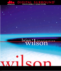 BRIAN WILSON / ブライアン・ウィルソン / YOUR IMAGINATION