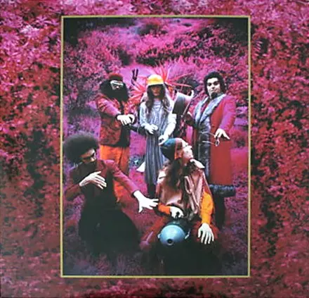CAPTAIN BEEFHEART 「GROW FINS」5CD 日本流通盤 Captain Beefheart & His Magic Band – Grow Fins: Rarities (1965-82
