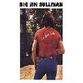 BIG JIM SULLIVAN / ビッグ・ジム・サリヴァン / BIG JIM'S BACK