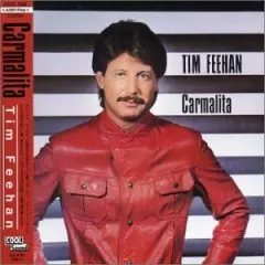 TIM FEEHAN ティムフィーアン Tim Feehan – Tim Feehan – Vinyl (DMM, LP, Album), 1987