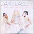 DAVID LASLEY / デヴィッド・ラズリー / MISSIN' TWENTY GROUND / 風のファルセット