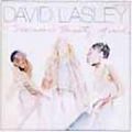 MISSIN' TWENTY GROUND / 風のファルセット/DAVID LASLEY/デヴィッド