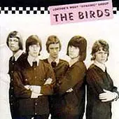BIRDS / バーズ / COLLECTOR'S GUIDE TO RARE BRITISH BIRDS / レア・ブリティッシュ・バーズ