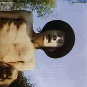 FLEETWOOD MAC / フリートウッド・マック / MR.WONDERFUL (180GM)