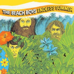 BEACH BOYS / ビーチ・ボーイズ / ENDLESS SUMMER (180G LP)