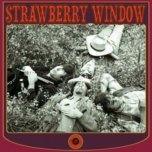 STRAWBERRY WINDOW / STRAWBERRY WINDOW
