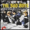 BAD BOYS / バッド・ボーイズ / BEST OF THE BAD BOYS